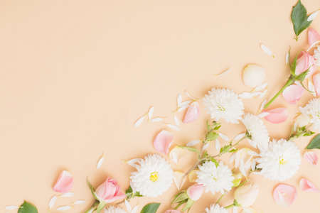 pink and white flowers on paper backgroundの写真素材
