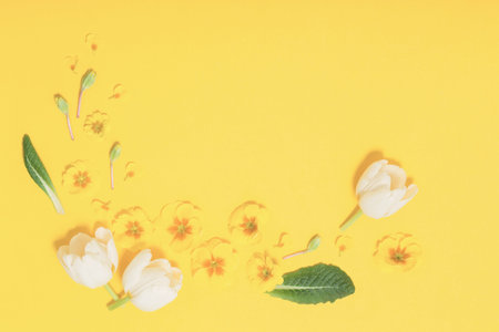 spring flowers on yellow backgroundの写真素材