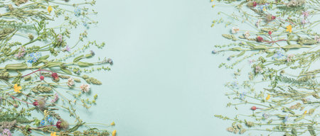 different wild flowers on green background