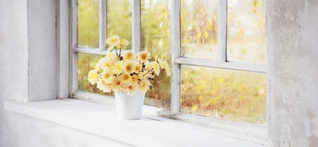 chrysanthemums in vase on windowsill in autumnの写真素材