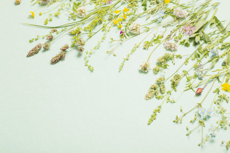 different wild flowers on paper background