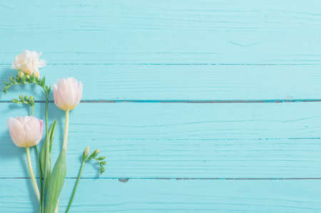 spring flowers on blue mint wooden backgroundの写真素材
