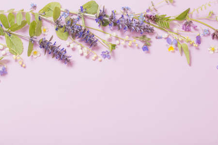 beautiful summer flowers on pink backgroundの写真素材