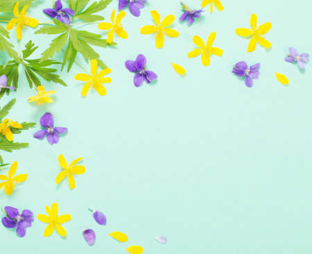 summer flowers on green paper backgroundの写真素材