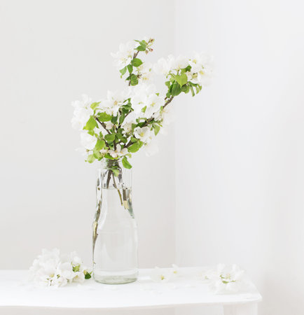 apple flowers in glass vase in white interiorの写真素材