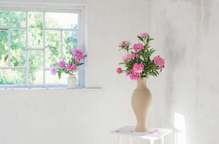 pink peony in vase on grunge white interiorの写真素材