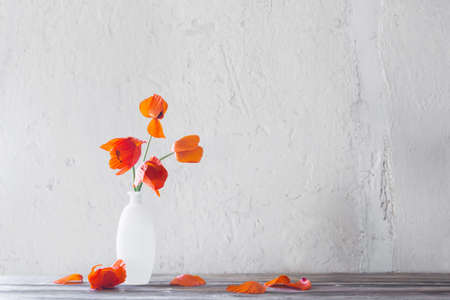 red poppies in white vase on white backgroundの写真素材
