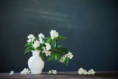 jasmine flowers in ceramic vase on white backgroundの写真素材
