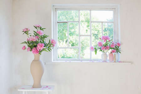 pink peony in vase on grunge white interiorの写真素材