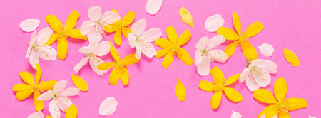 spring white and yellow flowers on pink paper backgroundの写真素材