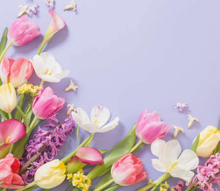 multicolored spring flowers on purple backgroundの写真素材