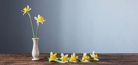 yellow narcissus in vase on wooden table on dark backgroundの写真素材