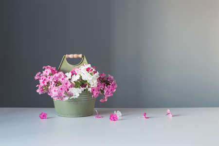 vase with pink flowers on gray backgroundの写真素材