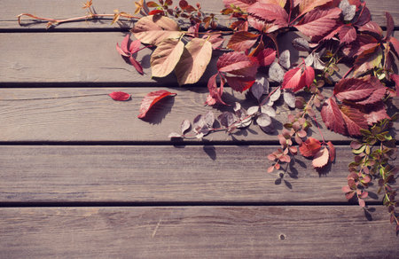 red autumn leaves on old wooden background