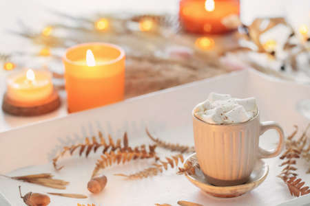 two cups of coffee with marshmallows and autumn decor on white wooden trayの写真素材