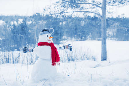 snowman in red scarf in forestの写真素材
