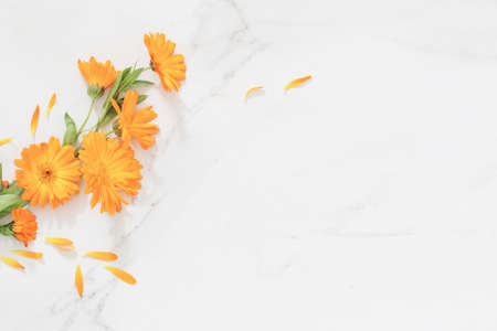 orange marigold flowers on white marble backgroundの写真素材