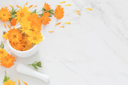 orange marigold flowers on white marble background