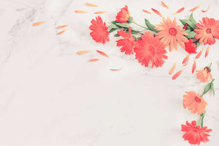 orange marigold flowers on white marble backgroundの写真素材