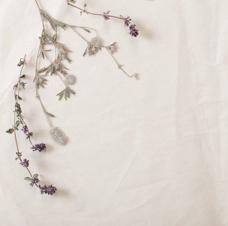 dried flowers on crumpled old paperの写真素材