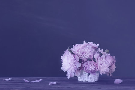 peony in basket on background dark wall, color of year 2022の写真素材