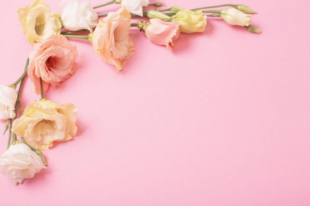 spring beautiful flowers on pink background