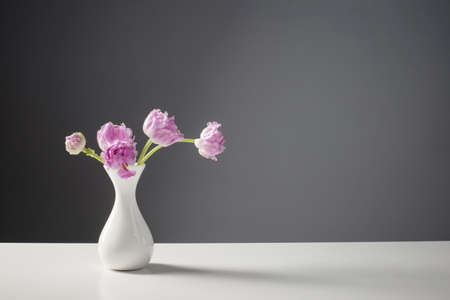 violet tulips in white vase on background gray wallの写真素材