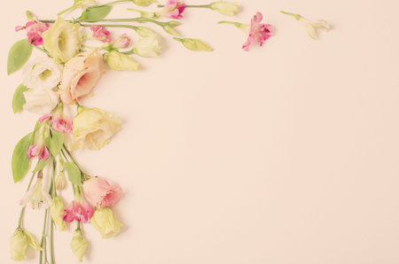 spring beautiful flowers on paper background