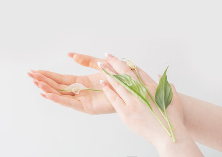 female hands with beautiful long nails with flowers on white backgroundの写真素材