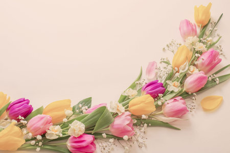 spring flowers on white background