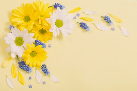 yellow and white chrysanthemum on yellow paper background