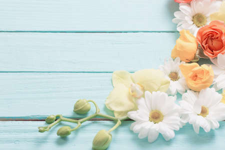 beautiful flowers on blue painted wooden backgroundの写真素材