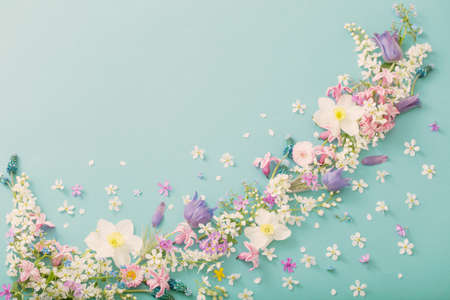 beautiful spring flowers on paper backgroundの写真素材