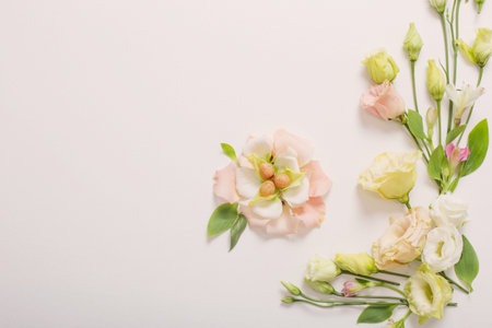 easter background with small eggs and pastel flowers on whiteの写真素材