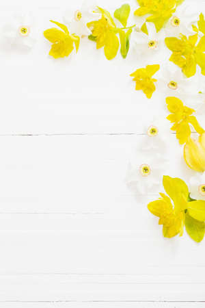 spring flowers on wooden backgroundの写真素材