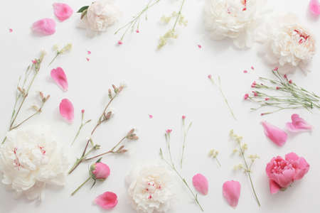 summer flowers on white paper backgroundの写真素材