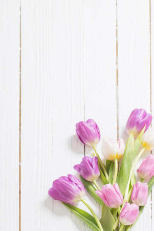 beautiful tulips on white wooden backgroundの写真素材