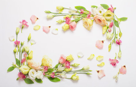 frame of spring beautiful flowers on white background