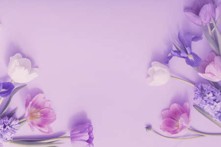 beautiful flowers on paper backgroundの写真素材