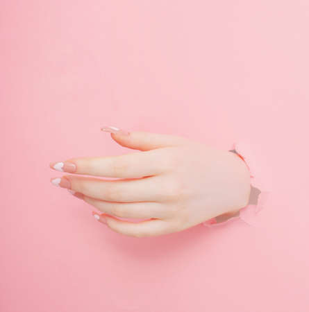 female hands with beautiful long nails with manicure on pink paper backgroundの写真素材