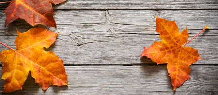 banner with autumn leaves on old wooden backgroundの写真素材