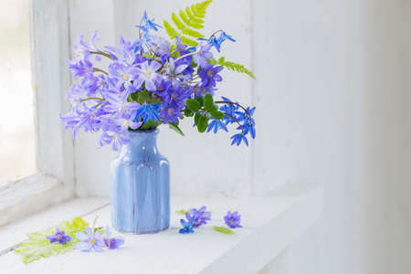 blue snowdrops on windowsillの写真素材