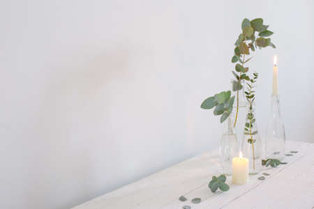 eucaliptus in glass bottles on white backgroundの写真素材