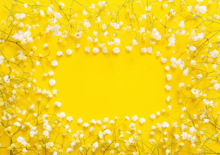 white gypsophila flowers on yellow background