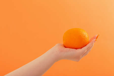 female hand with orange on orange backgroundの写真素材