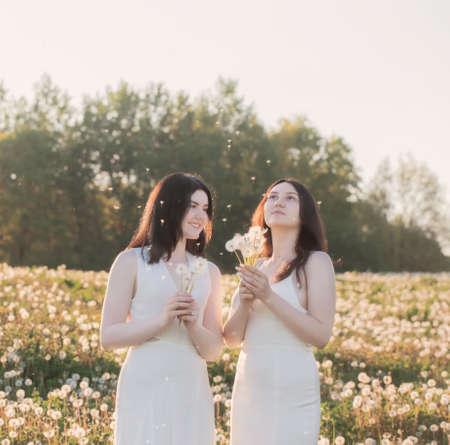 two young beautiful girls on meadow with dandelions at sunsetの写真素材