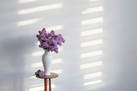 lilac flowers in white vase on background white wallの写真素材