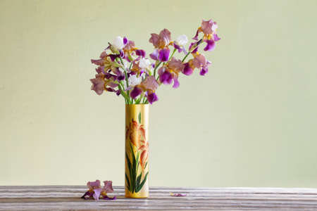 irises in beautiful glass vase against green wallの写真素材