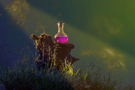 bottle of magic potions in magical forestの写真素材
