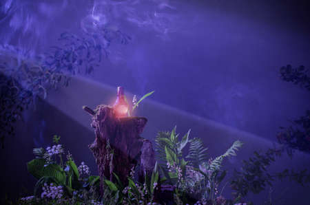 bottle of magic potions in magical forestの写真素材